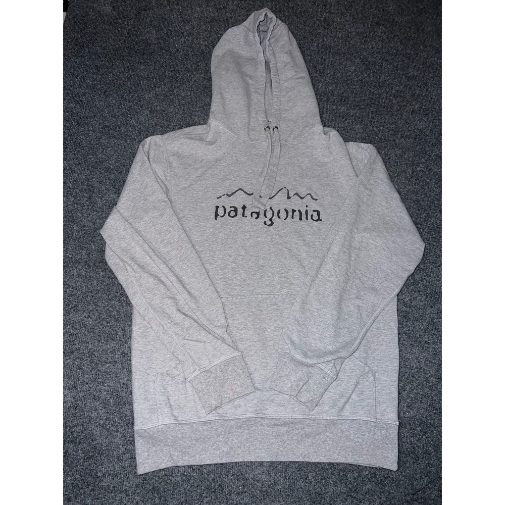 Patagonia Mens Small Gray Organic Cotton Mountain Logo Hoodie STY26712FA14